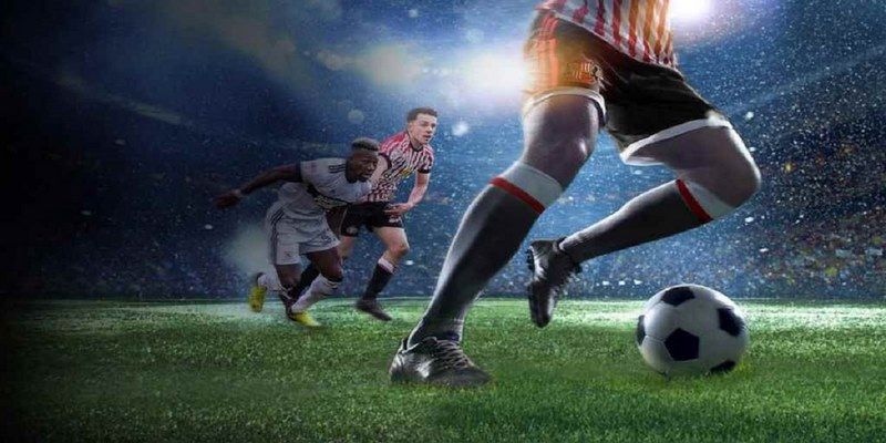 95vn1 đá gà trực tiếp hôm nay
