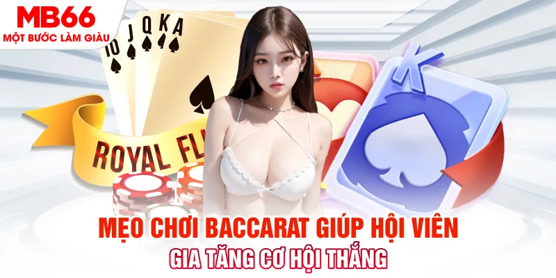 95vn1 đá gà 88