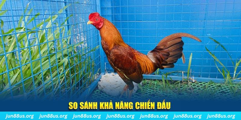 95vn1 xổ số tiền giang