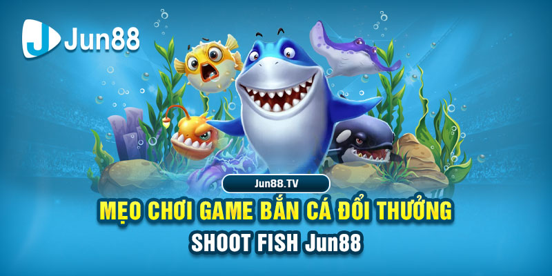 95vn1 tai game danh bai bigkool ve may tinh