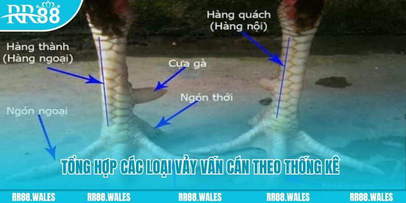 95vn1 nổ hũ chơi như thế nào