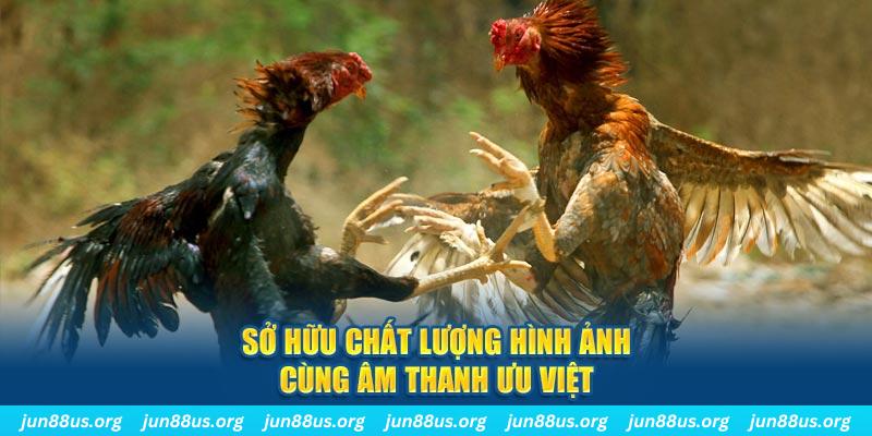 95vn1 tai game danh bai ve may tinh