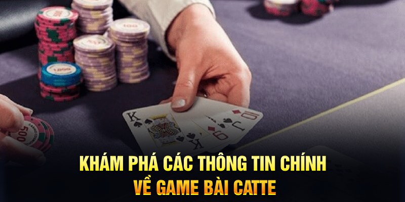 95vn1 Trăm người Bo tám Bo chín