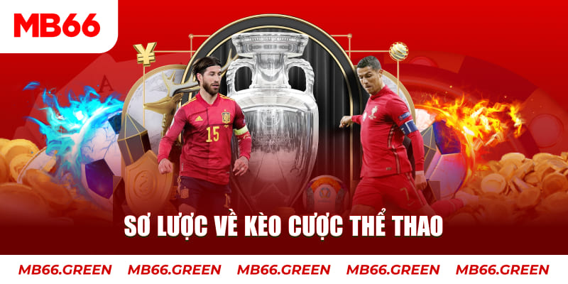 95vn1 xổ số an giang