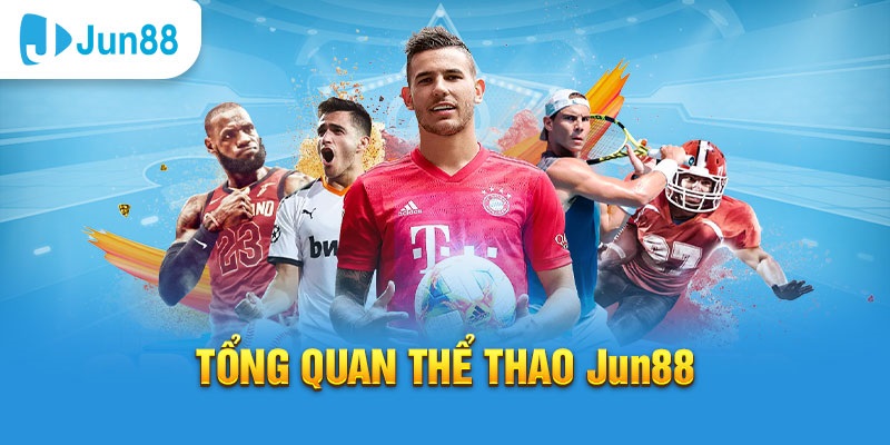 95vn1 slot tiếng anh la gì
