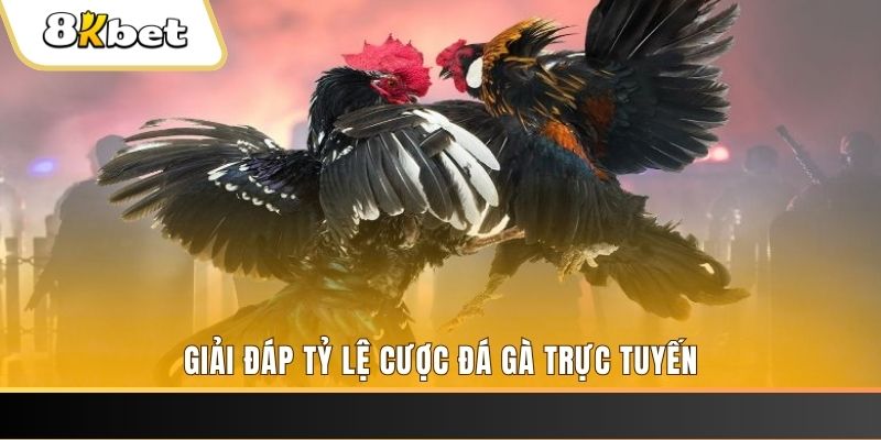 95vn1 xổ số ba đài