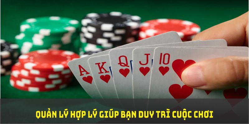 95vn1 TP Xổ Số