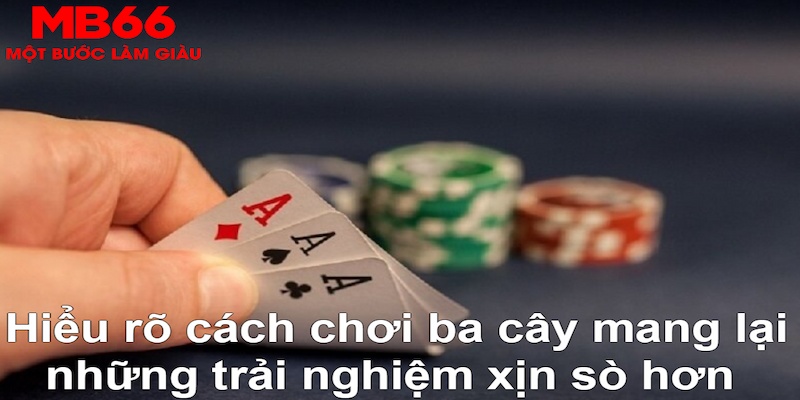 95vn1 ÁT CHỦ BÀI GIÀNH LẤY ZHUANG NIUNIU ( XEM 3 LÁ )