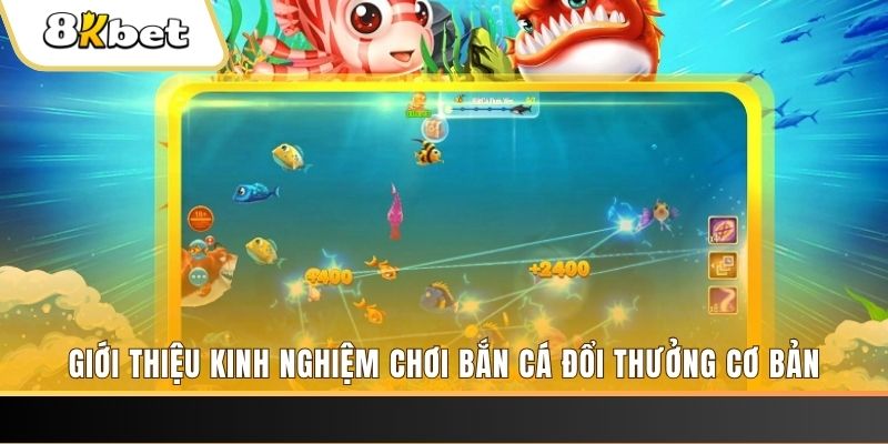 95vn1 8 bí ẩn chơi nổ hũ ít ai biết