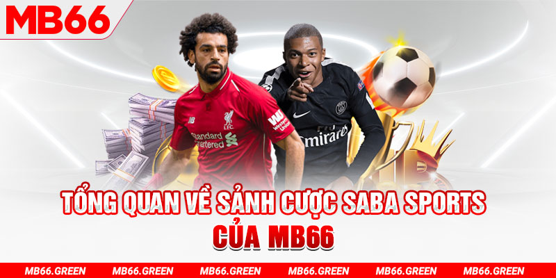 95vn1 slot có nghĩa là gì