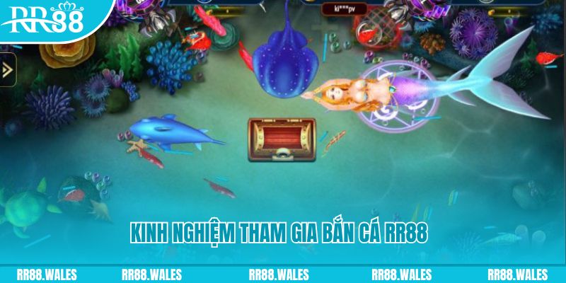 95vn1 một slot là gì