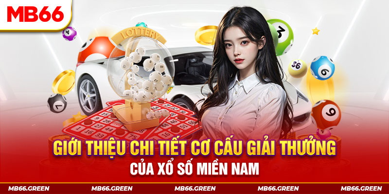 95vn1 PP Điện Tử