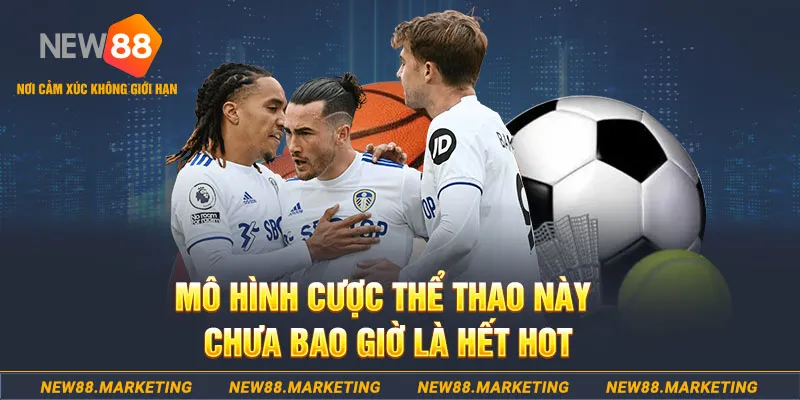 95vn1 gà chọi c1 thomo