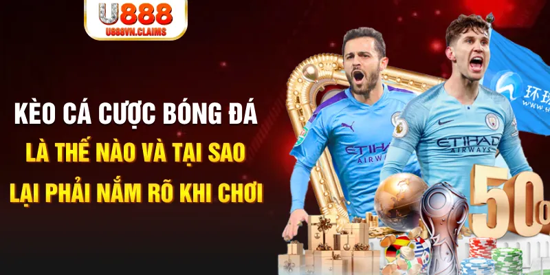 95vn1 slot la gì